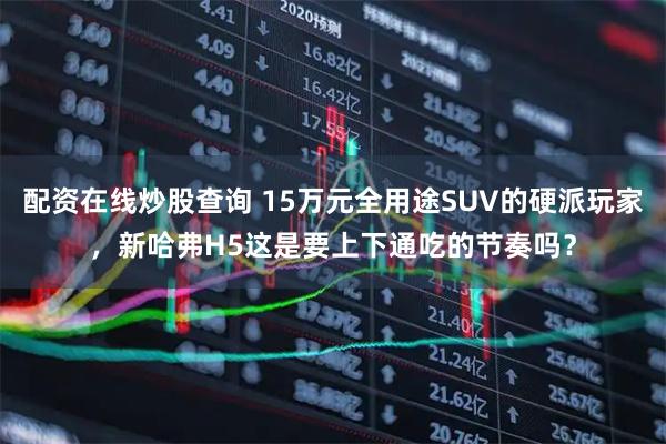 配资在线炒股查询 15万元全用途SUV的硬派玩家，新哈弗H5这是要上下通吃的节奏吗？